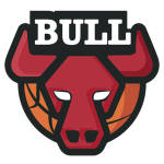 公牛队标
